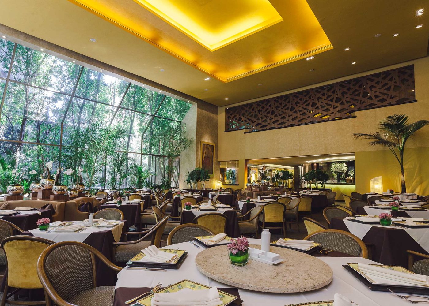 Hunan Spa Galería restaurante chino CDMX | HUNAN